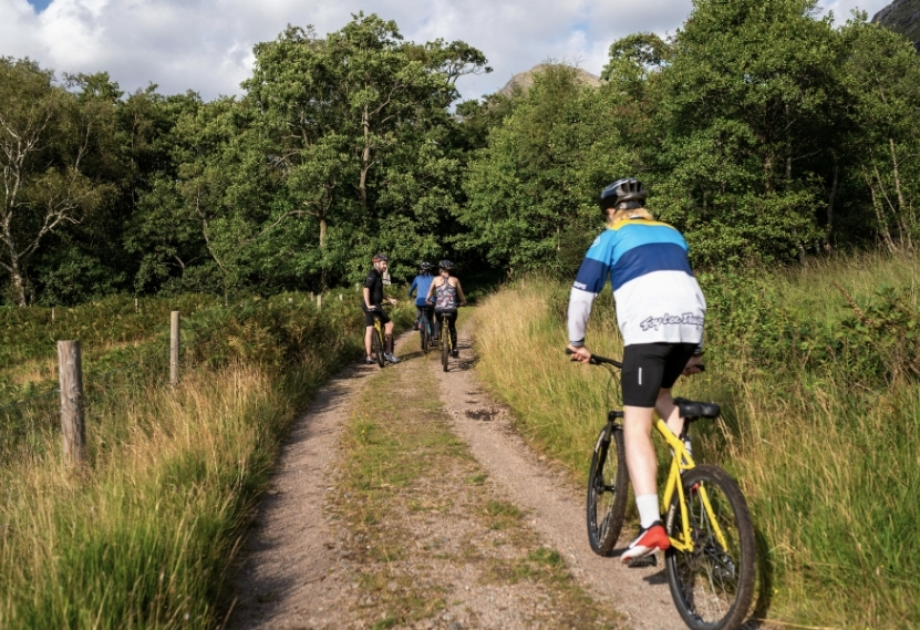 camping cycloboheme berry