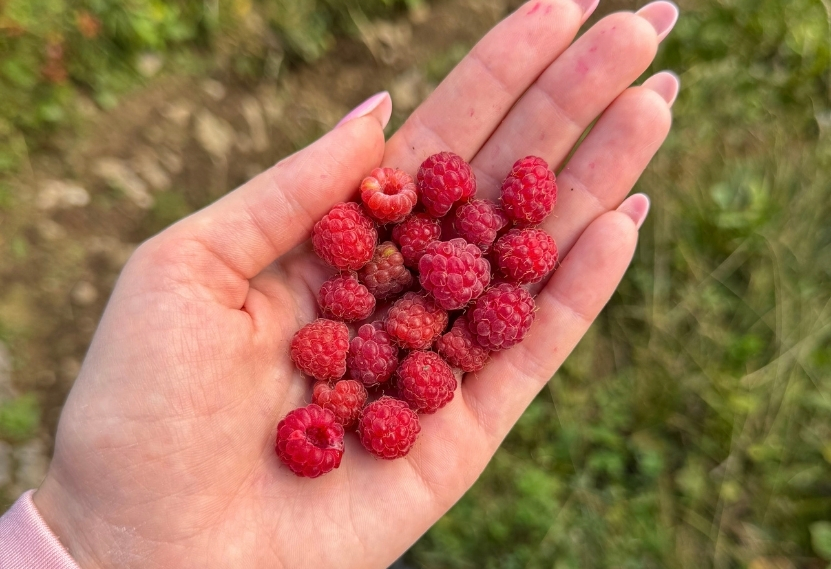 camping cycloboheme indre