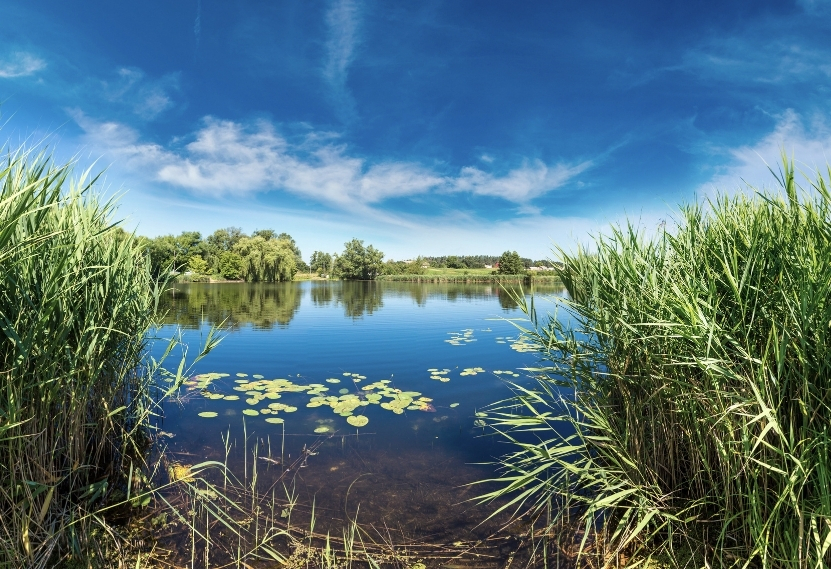 Campingplatz in der Nähe der Seen der Brenne
