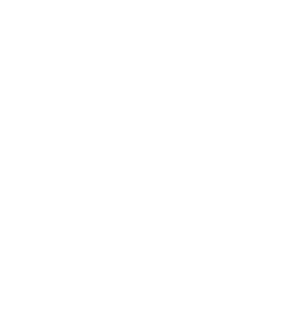 logo blanc valvertenberry